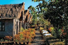 Tuophema Village